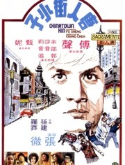 唐人街功夫小子免费观看