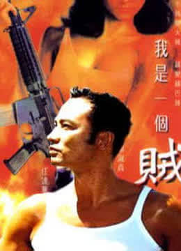 我是一个贼免费观看