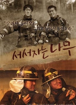 站着睡觉的树免费观看