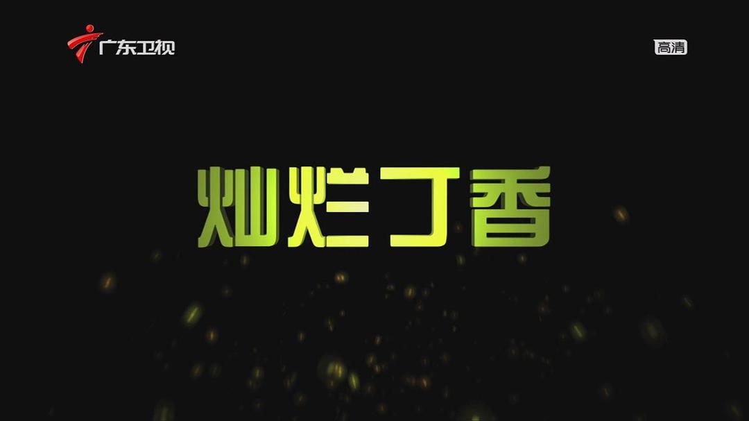 灿烂丁香免费观看