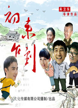 初来乍到免费观看