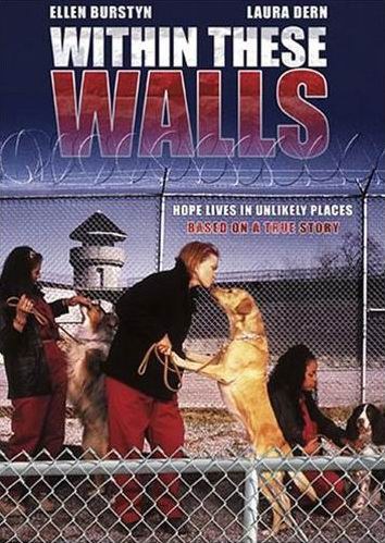 高墙内免费观看