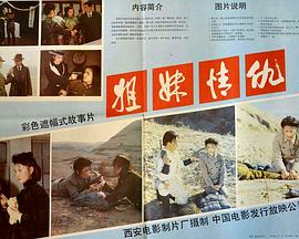 姐妹情仇免费观看