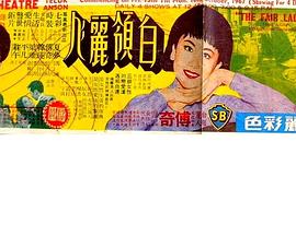 白领丽人免费观看