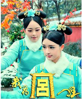 我为宫狂免费观看