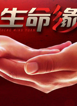生命缘第四季免费观看