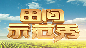 田间示范秀免费观看