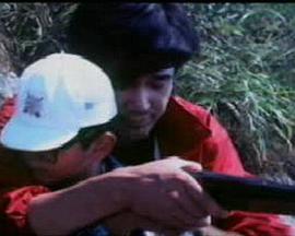 滴血黄昏免费观看