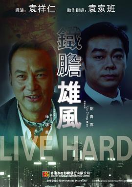 铁胆雄风免费观看