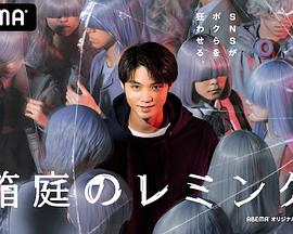 箱庭的旅鼠免费观看