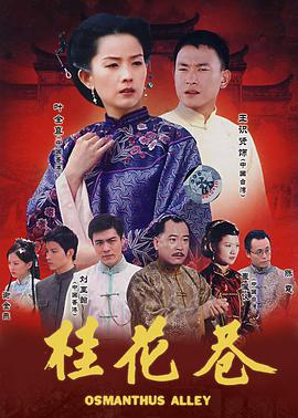 桂花巷免费观看