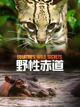 探秘野性赤道免费观看