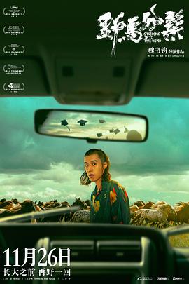 野马分鬃免费观看