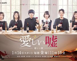 可爱的谎言～温柔的黑暗免费观看