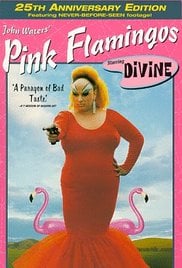 粉红色的火烈鸟免费观看