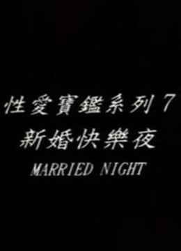 新婚快乐夜/洞房免费观看