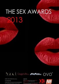 2013艳星颁奖典礼免费观看