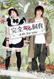 完全饲育：专属女仆