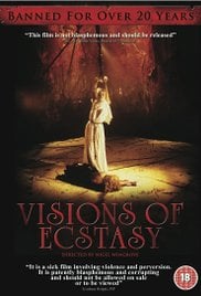 狂喜的幻象/Visions of Ecstasy免费观看