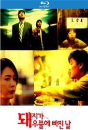 猪堕井的那天免费观看