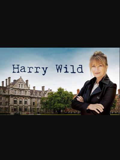 哈里·怀尔德第1季免费观看