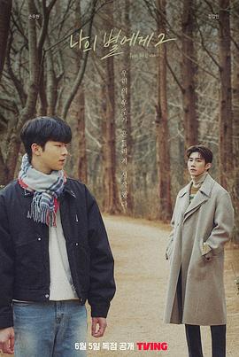 致我的星星 第二季免费观看