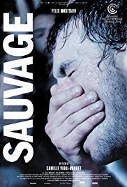 野放动物免费观看