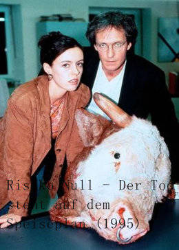 天涯追踪（普通话版）免费观看