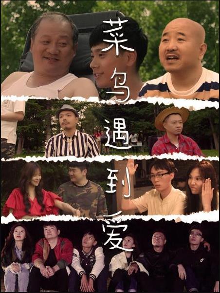 菜鸟遇到爱免费观看