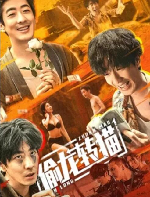 偷龙转猫免费观看