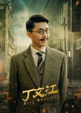 丁文江免费观看