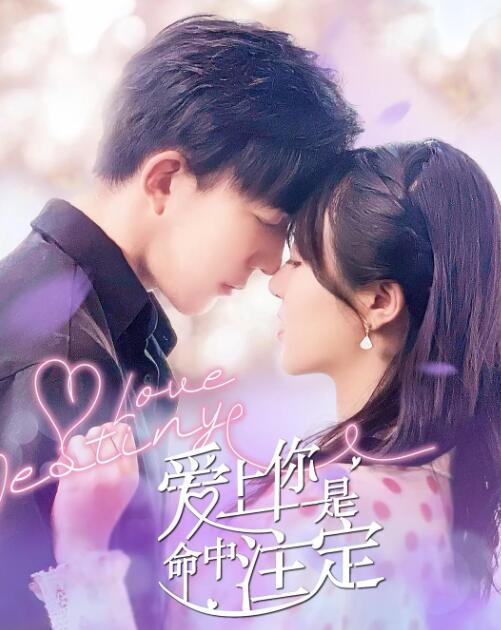 爱上你是命中注定免费观看