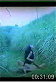 独闯无底洞免费观看