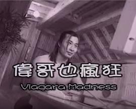 伟哥也疯狂免费观看