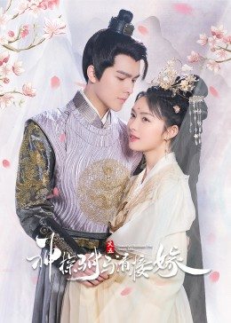 神探驸马请接嫁免费观看