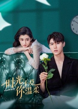 时光不及你温柔免费观看