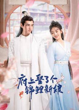 府上娶了个锦鲤新娘免费观看