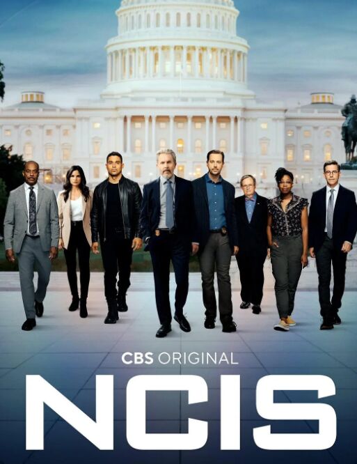 海军罪案调查处 第二十季免费观看