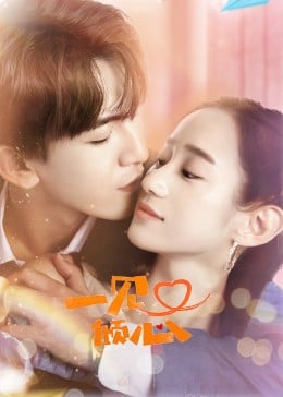 一见又倾心免费观看