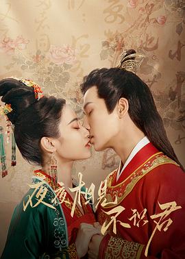 夜夜相见不识君免费观看