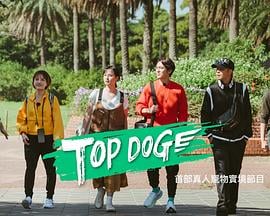 TOP DOG免费观看