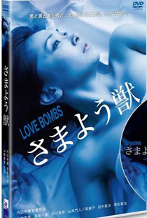 爱情炸弹免费观看