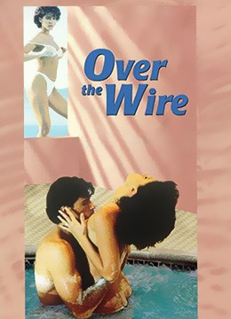 窃情谋欲免费观看