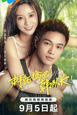 束手就擒吧！韩队长免费观看