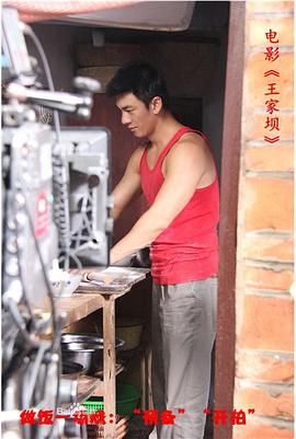 王家坝免费观看