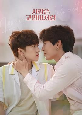 爱情像猫一样免费观看