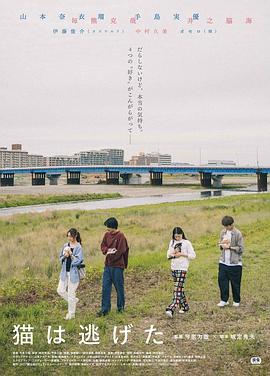 猫猫逃走了免费观看