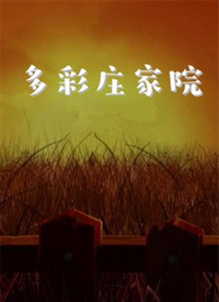 多彩庄家院免费观看