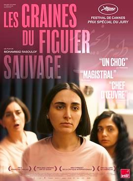 神圣无花果之种免费观看