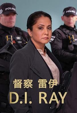 督察雷伊 第二季免费观看